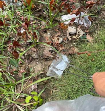 1cbe2adc09b5ecb8f54a3ac38b118c72