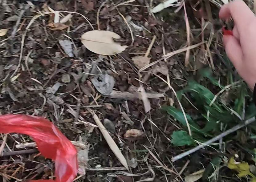 7a8f6945038e35ae1eb95f5dfaea333c