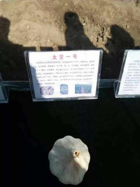 1547362249625036.jpg 方苗苗.jpg